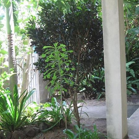 Hotel Culture House Basseterre Esterno foto