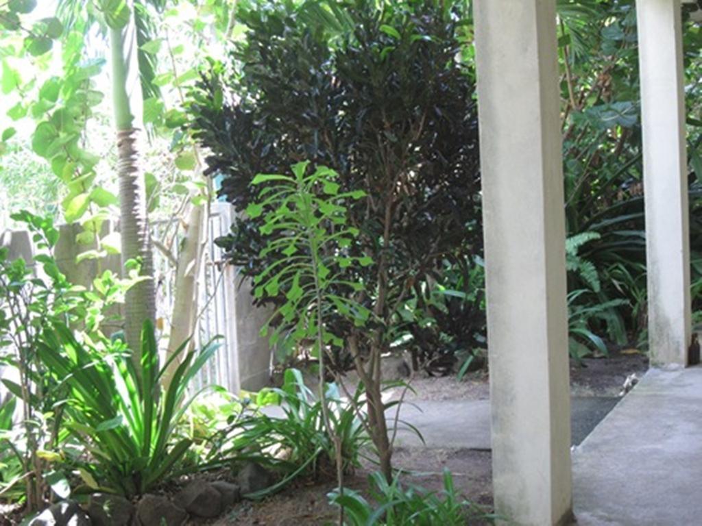Hotel Culture House Basseterre Esterno foto